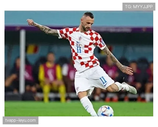 阿利松世界杯高光表现 成巴西队防线坚实屏障