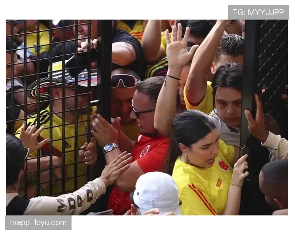 美洲杯决赛门票抢手，球迷热盼两强巅峰对决